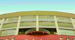 ペコリナイトは好き？