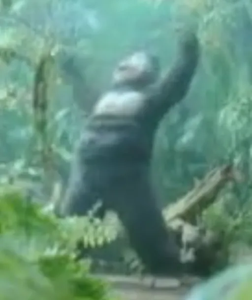 神奈川県○○市