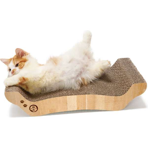 猫は好き？