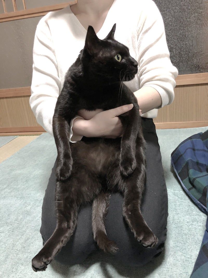 神奈川県○○市