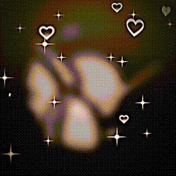 スプランキーは好き？