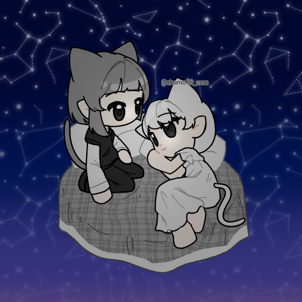 どっちが好き？