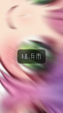 どっちが好き？