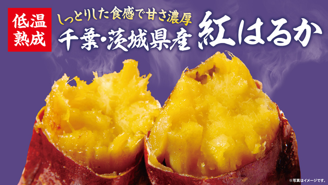 神奈川県〇〇市