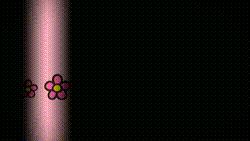 神奈川県○○市