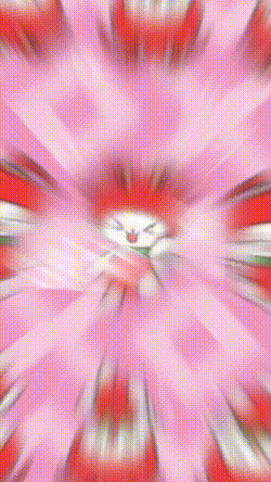 どっちが好き？