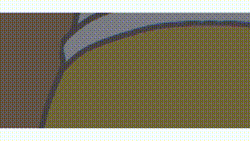 神奈川県○○市