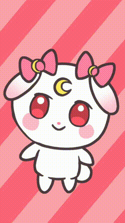 どっちが好き？