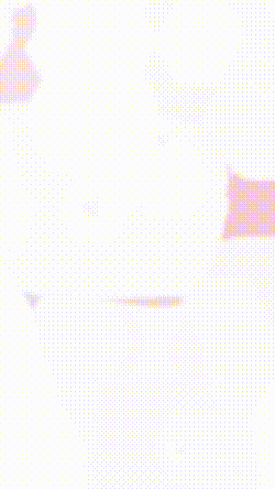 神奈川県○○市