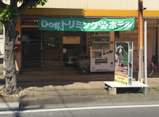 神奈川県○○市