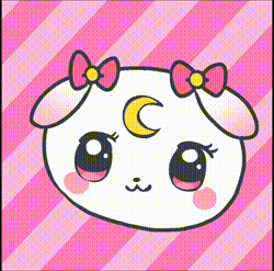 どっちが好き？