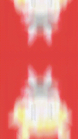 どっちが好き？