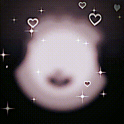 どっちが好き？