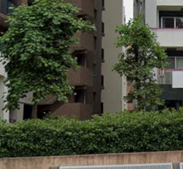 隆ちゃんと博ちゃんの職業体験