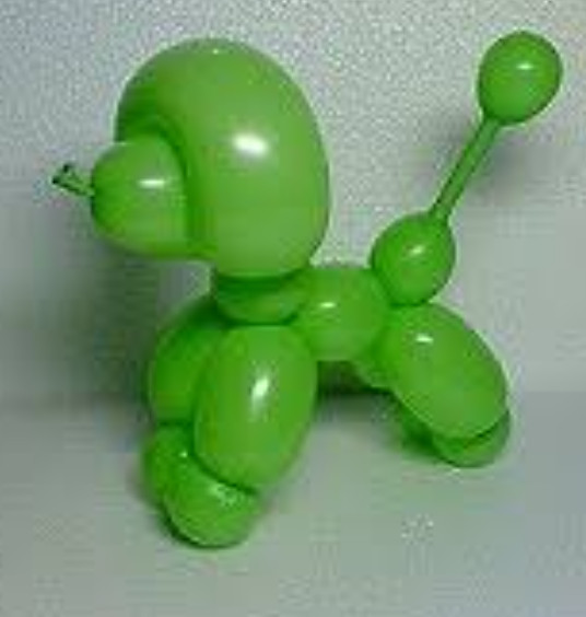 プードルの性別はどっち？