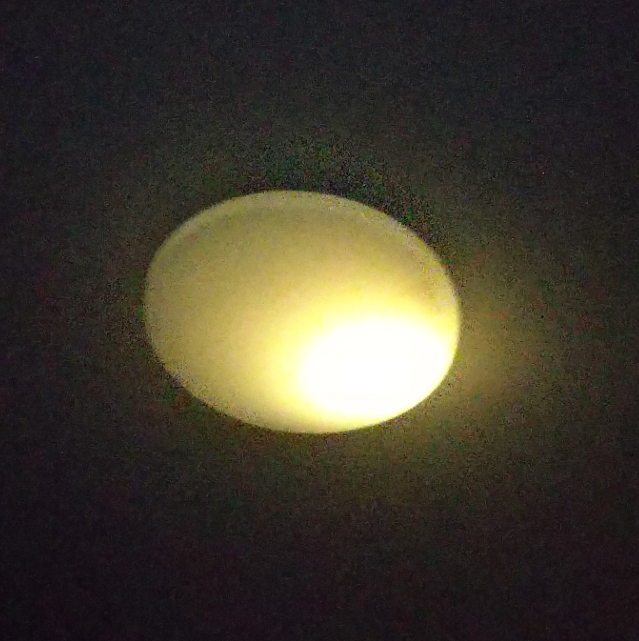 たまごっちのエロ画像をしらべた理さん