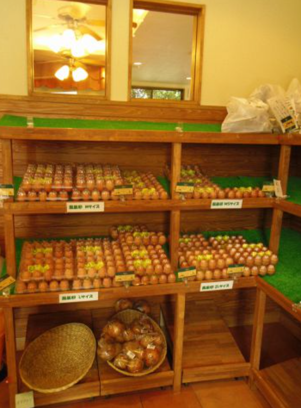 神奈川県○○市