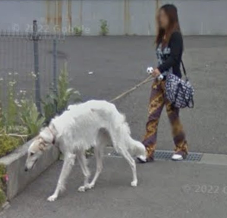 ○○県