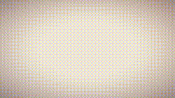 どっちが好き？