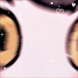 どっちが好き？