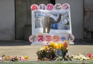 イズミちゃんは好き？