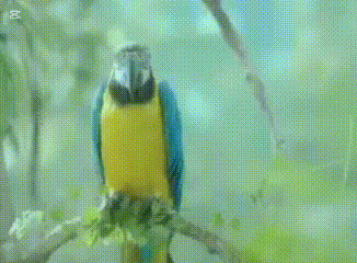 エネゴリくんは好き？