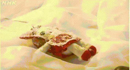 相模大野？丁目