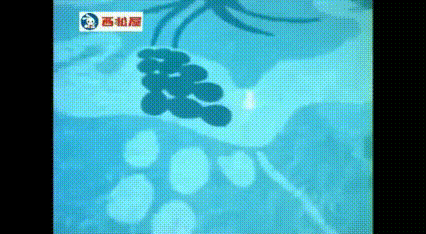 神奈川県○○市