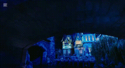 どっちが好き？