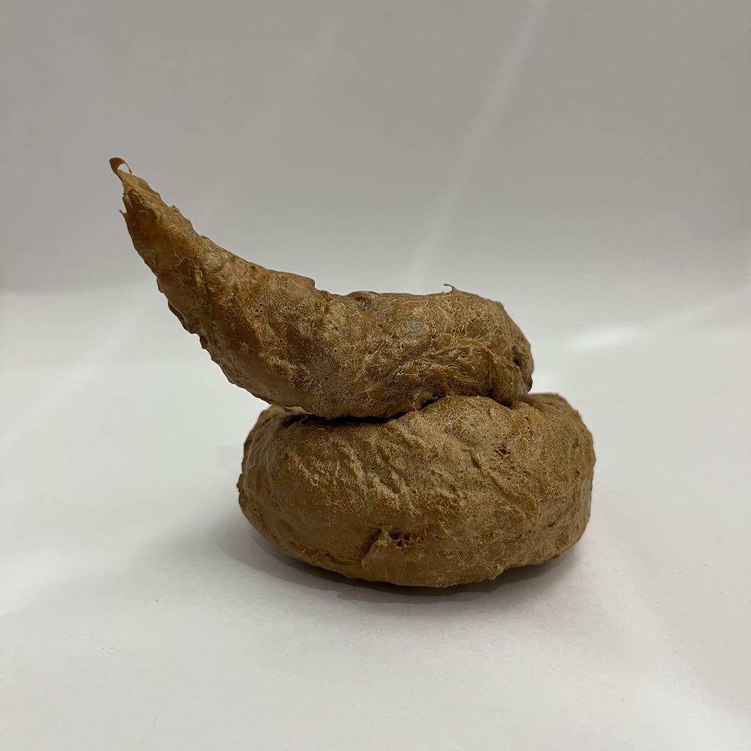 うんちは好き？